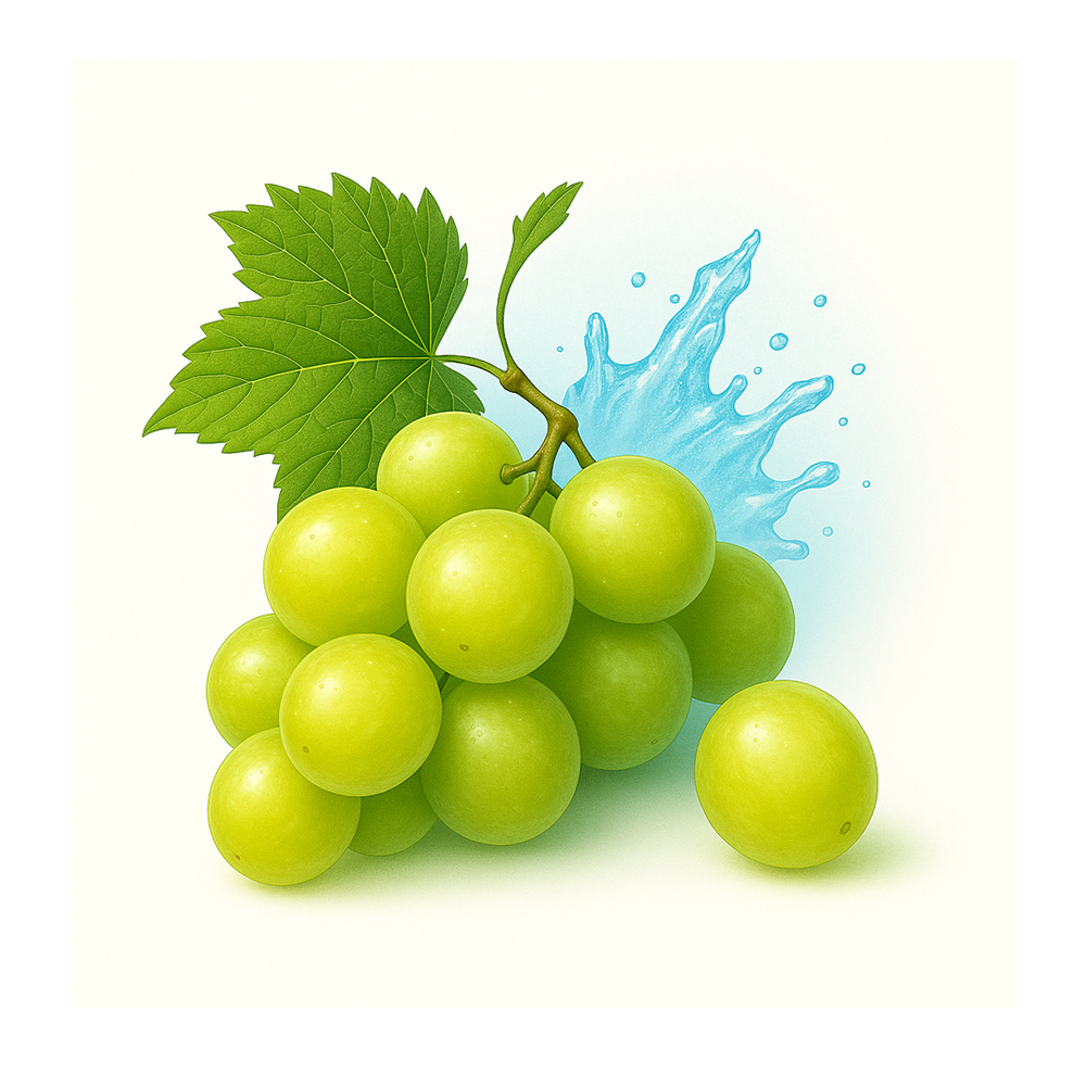 NEO Brilliant Muscat for GLO Hyper 💨 ‣ Worldwide Ship 🚀