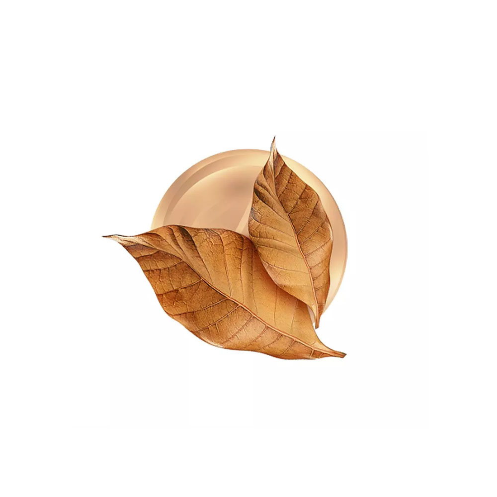 tobacco leaf